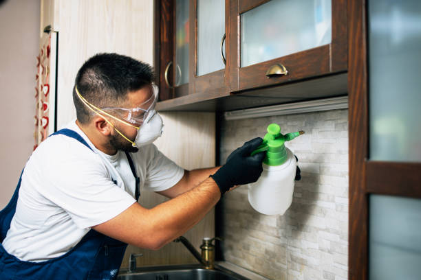 Best Affordable Pest Control Services  in Osborne, KS