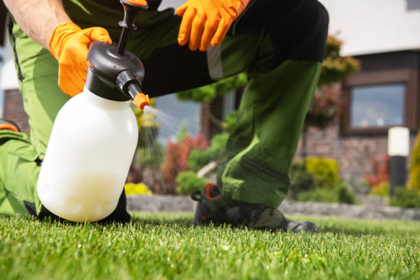 Reliable Osborne, KS Pest Control Solutions