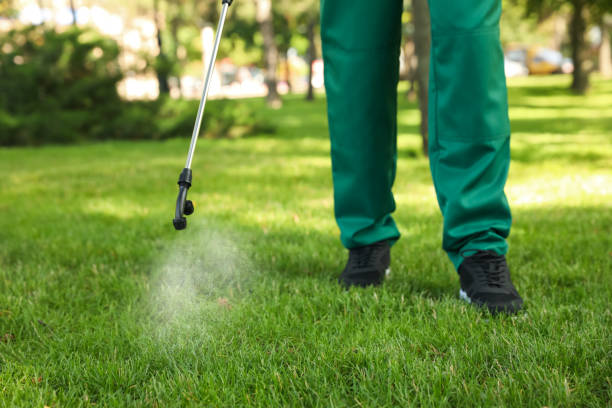 Best Bed Bug Extermination  in Osborne, KS
