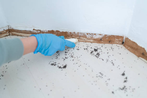 Best Pest Inspection Near Me  in Osborne, KS