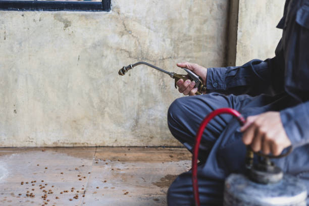 Best Termite Control Services  in Osborne, KS